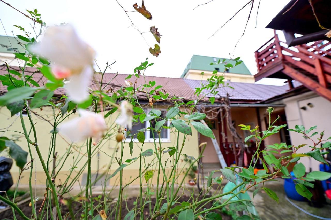 Flh - Kaly'S Place ซีบิว ภายนอก รูปภาพ
